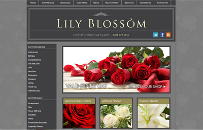 Lily Blossom Website